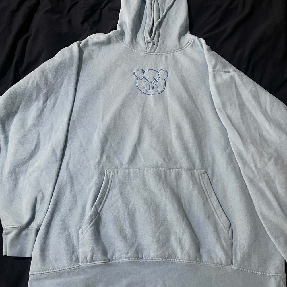 Sky Blue Hoodie with Embroidered Design